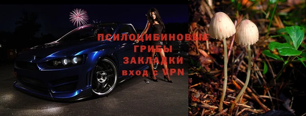 молекула духа Магас