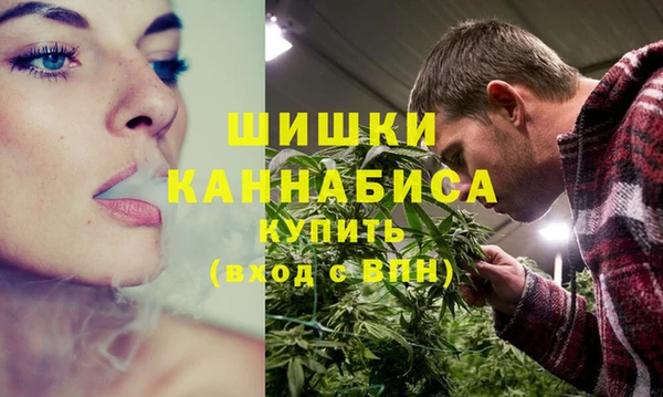 молекула духа Магас